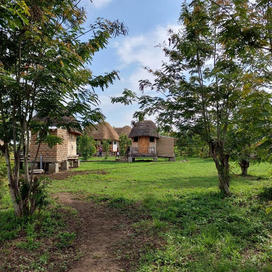 Songbird Safari Lodge & Campsite Katunguru 外观 照片